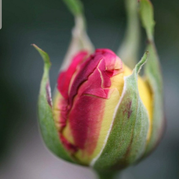 Meet your Posher, Zainab - Picture 1 of 1